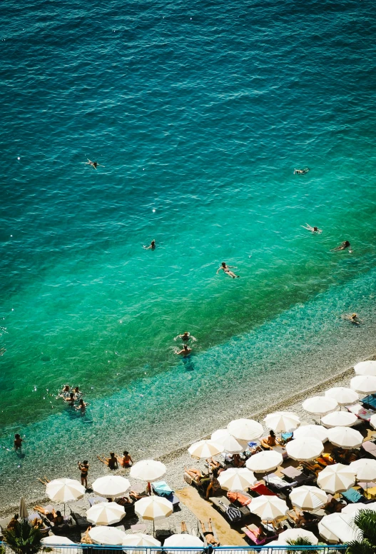 umbrellas at the beach with people swimming in the water