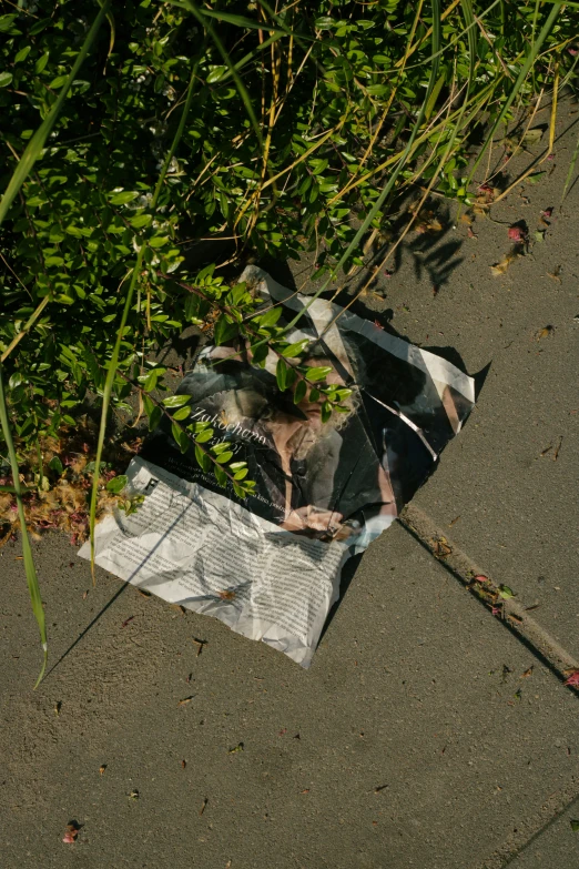 a small bag is laying on the ground outside