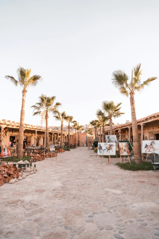 a sandy road with palm trees and many houses