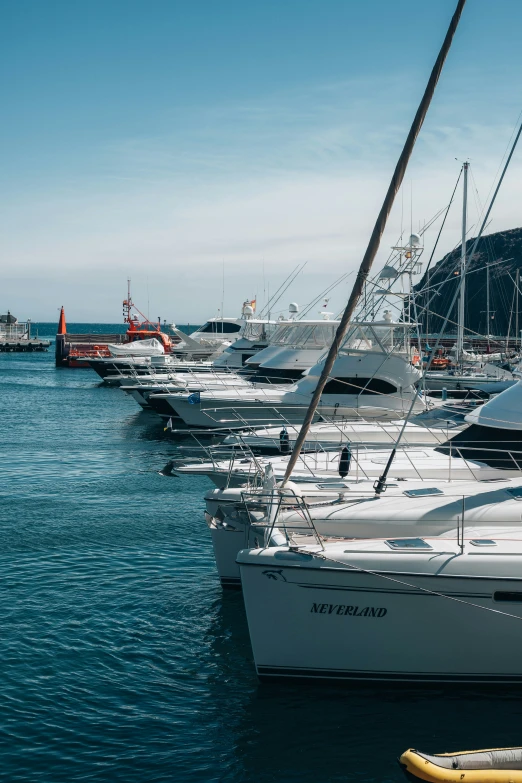 a large number of white boats in the water