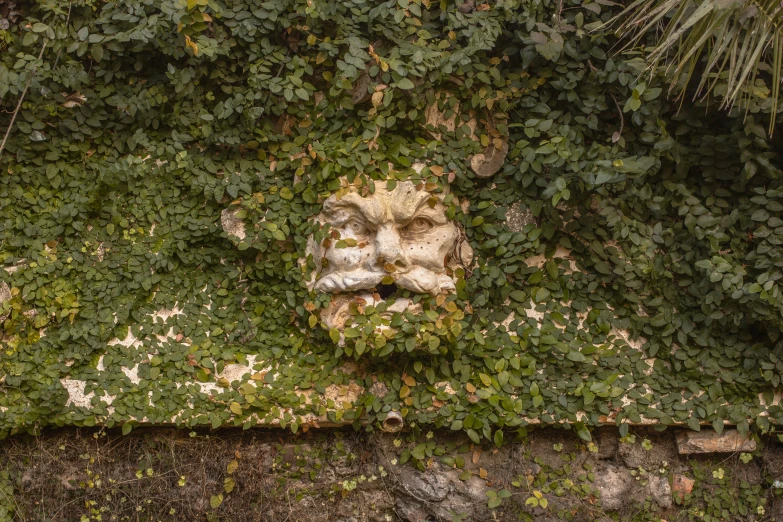 the face of a statue is depicted in an overgrown plant wall