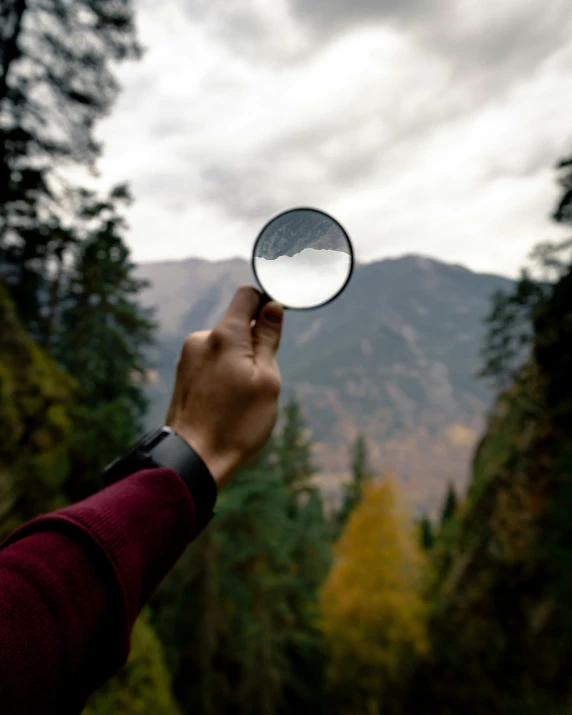 a person holding a magnifying glass over the top of a forest