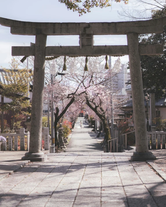 an arch over a walkway near many trees