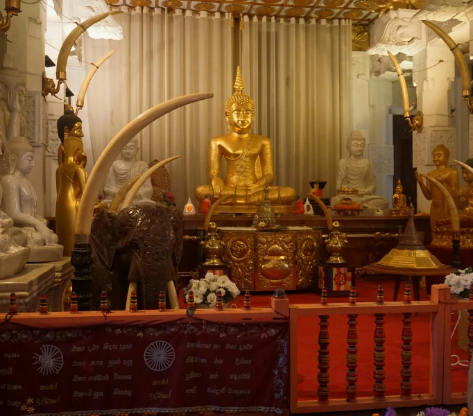 buddha statues sit in a room surrounded by wooden sculptures