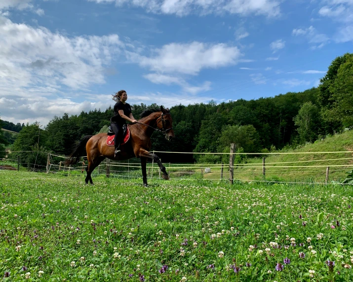 the woman is riding a horse in a fenced area