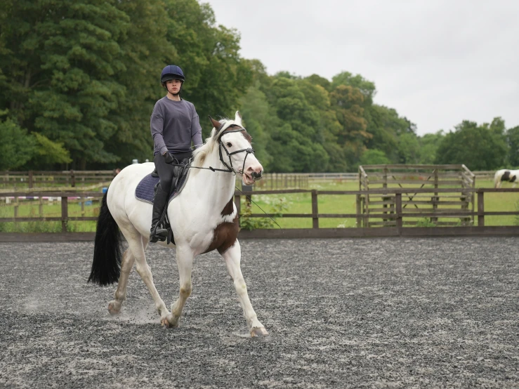 a jockey on a horse in an arena with horses