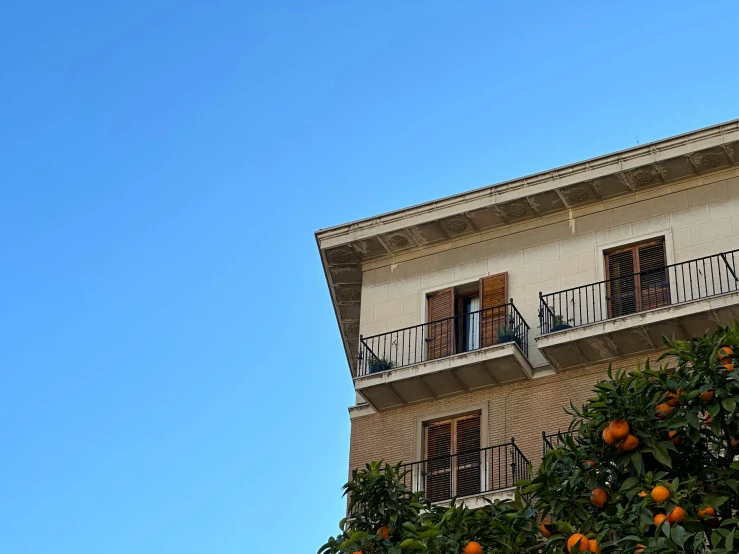 a orange tree near a building with some balconies and balconies