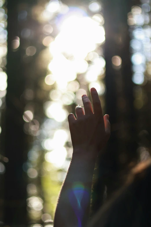 the hand holds out to a person in front of a background of many lights