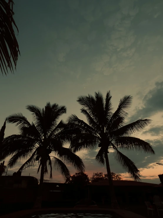 a silhouette of palm trees against a cloudy sky