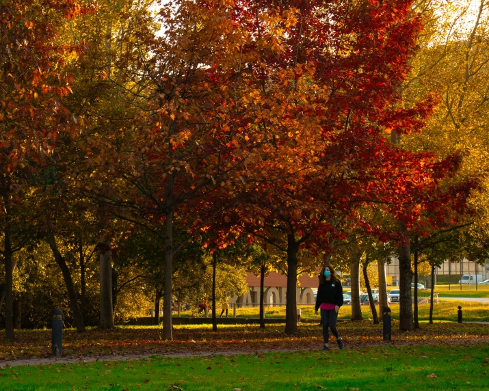 people standing around in the park on a fall day