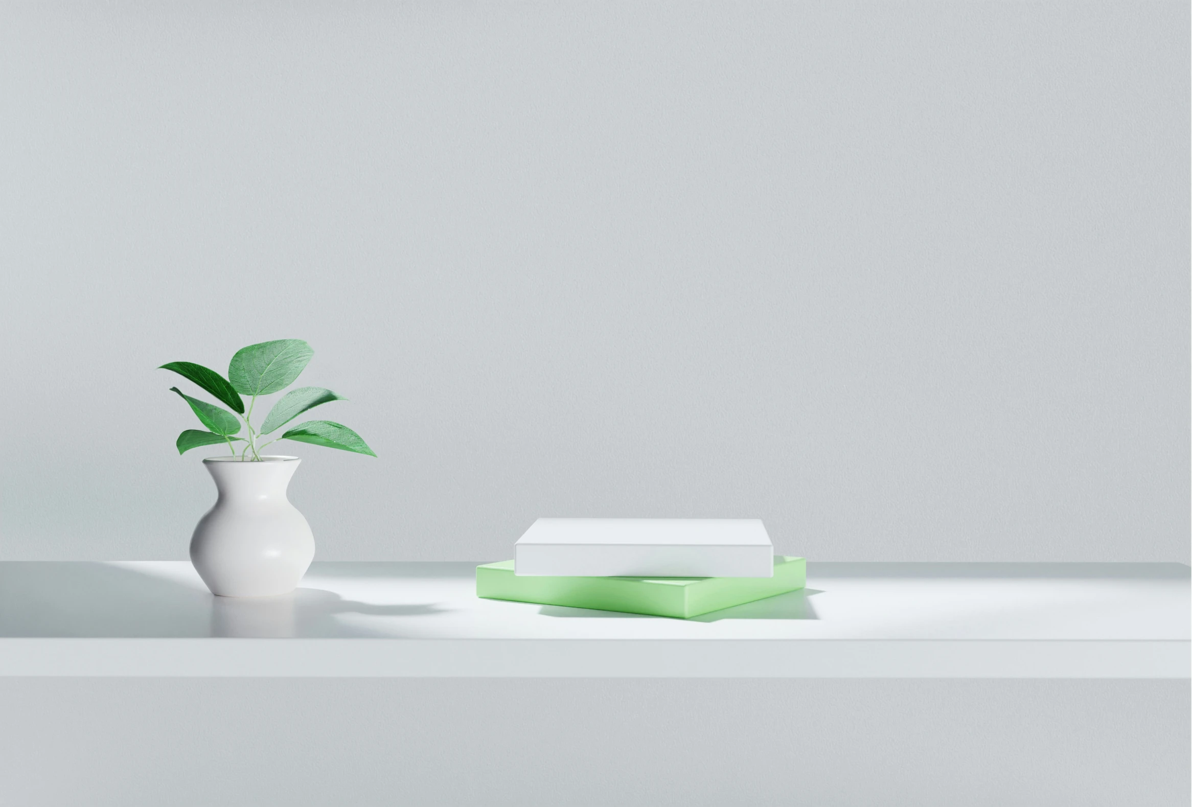 some books and a potted plant on a counter