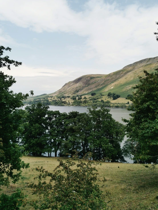 some trees and water and a mountain