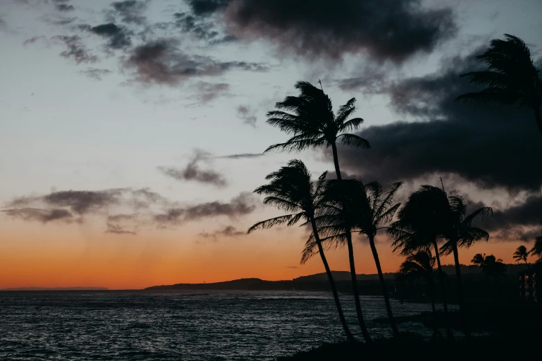 the sun is setting with palm trees by the ocean