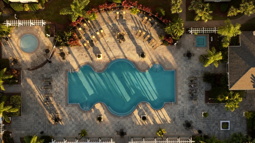 a swimming pool surrounded by palm trees and other landscaping