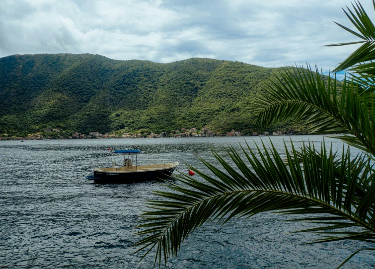a small boat is in the water with palm leaves in foreground