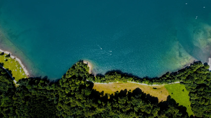 an aerial view of a scenic river running through the woods