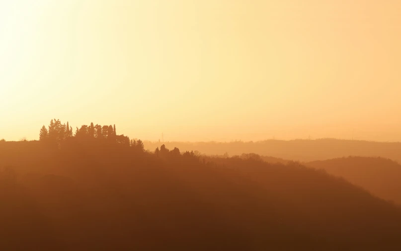 an orange sky shows the setting sun and silhouettes trees