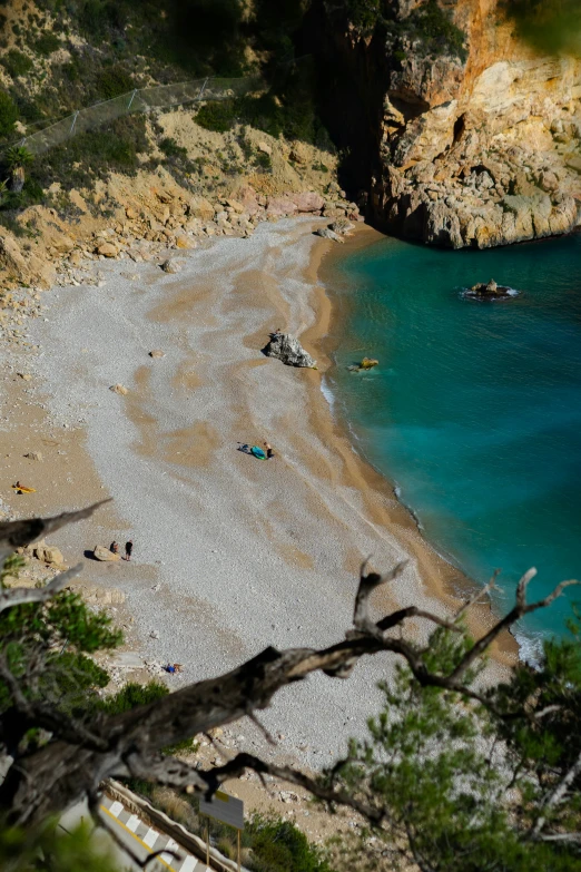 an aerial view of a rocky shoreline in the middle of the woods