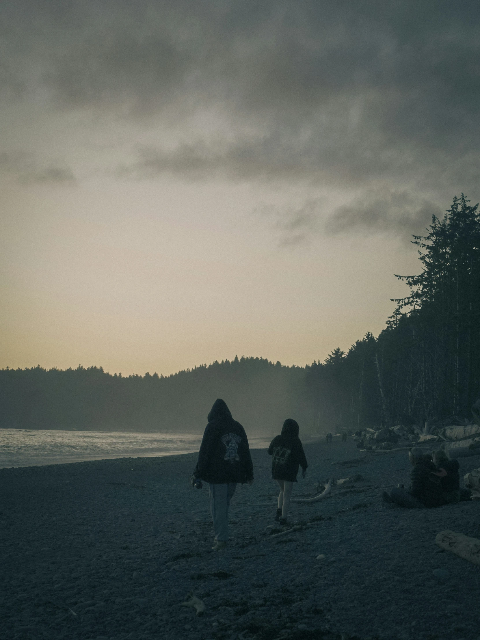 two women walk down the beach in front of a wooded area