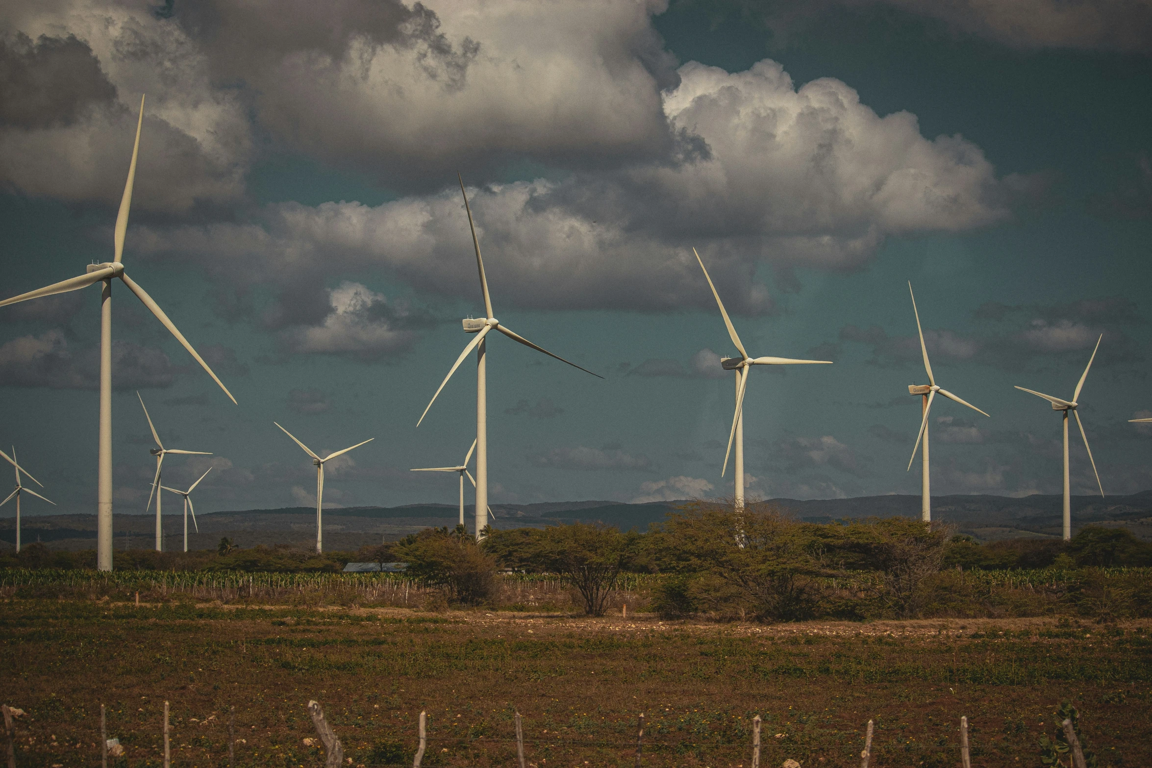 a line of wind turbines in a field