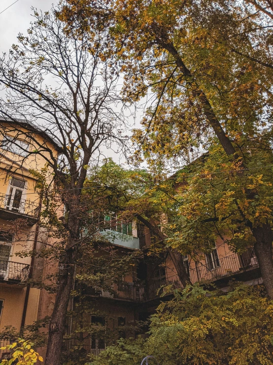 a very tall building surrounded by trees and leaves