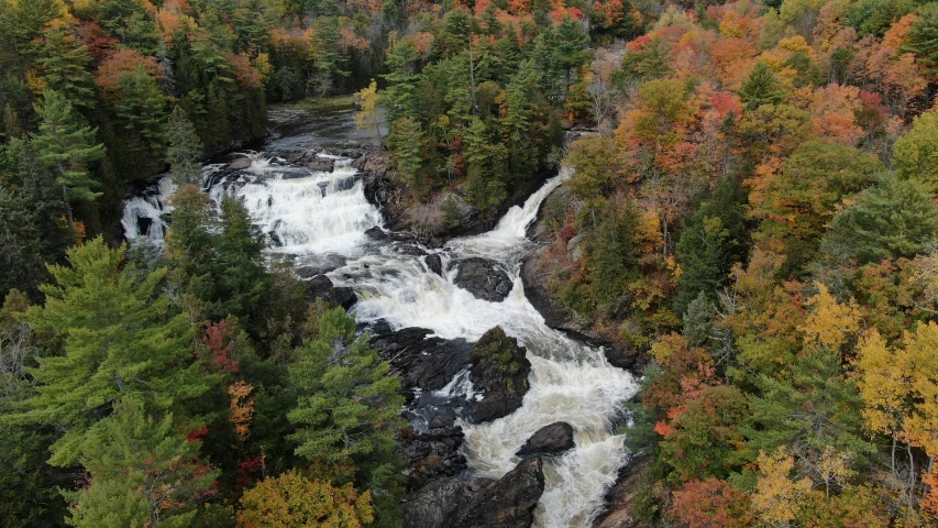 a river with lots of water surrounded by trees