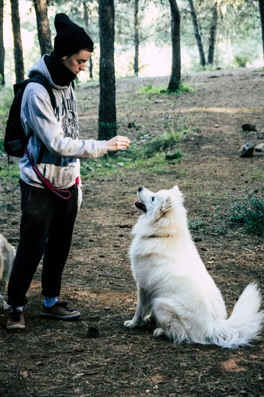 a woman standing on a path with two dogs