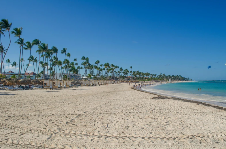 palm trees line the sandy beach with people enjoying it