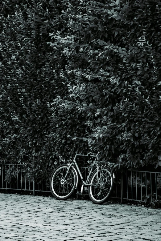 bicycle locked against fence with tree and pavement