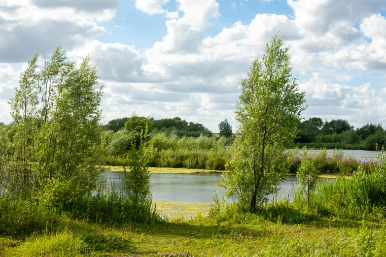 the river is flowing through the green area