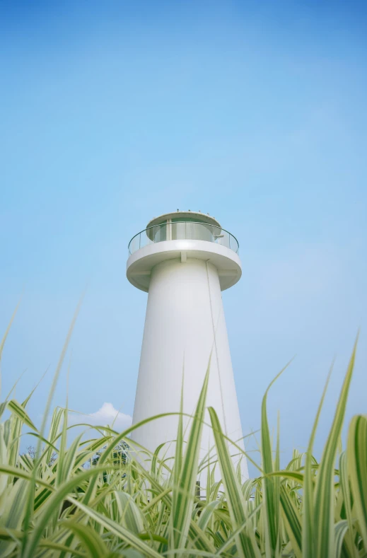 this is the white lighthouse in the field