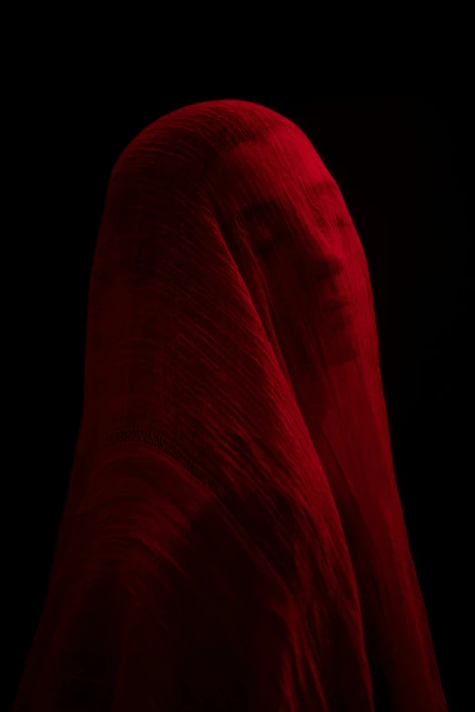 a red fabric is wrapped around its head