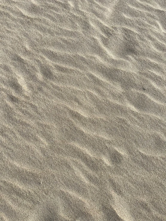 the top view of a lone seagull flying away in the distance