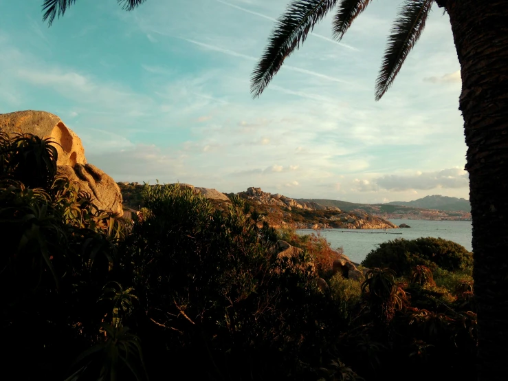 a beach next to a cliff and tropical trees