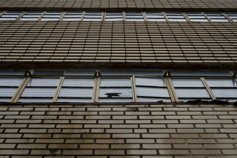 the side of an old brick building, with windows, a bird is standing on the ledge