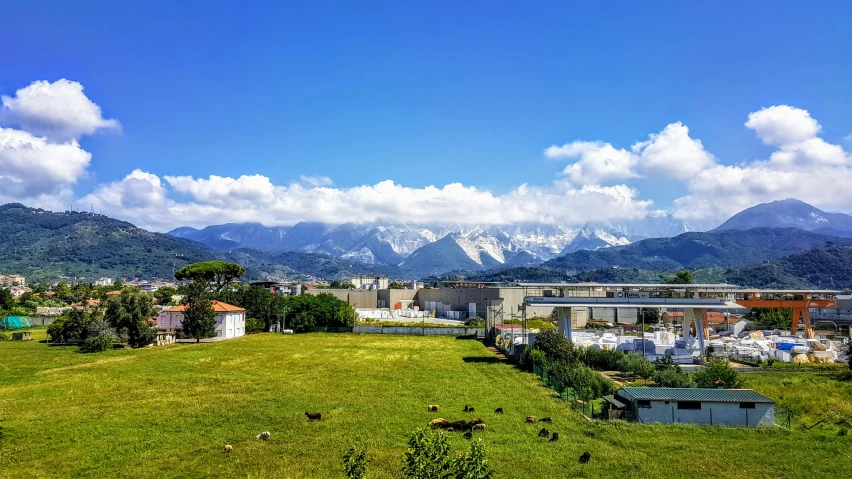 a grassy field and city on a beautiful day