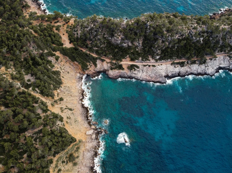 an aerial s of a forest, ocean and shore