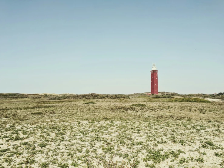 a light house in the distance surrounded by grass