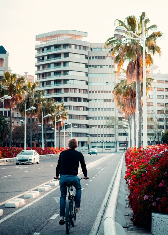 a person on a bicycle riding down the street