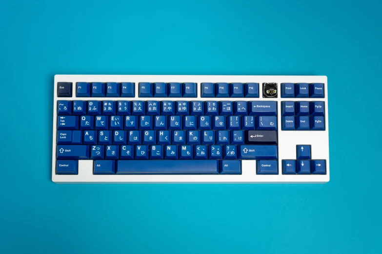 a closeup image of a blue and white computer keyboard