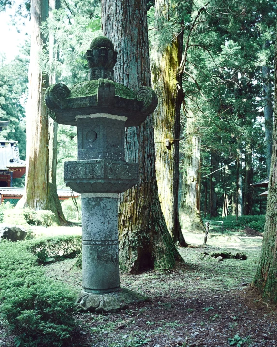 a stone pillar in the middle of the woods