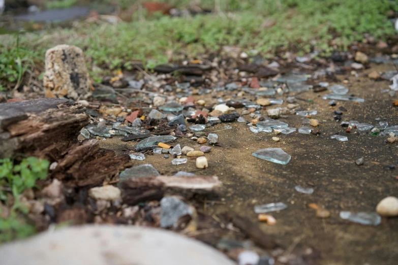 several small broken glass shards lay on the ground