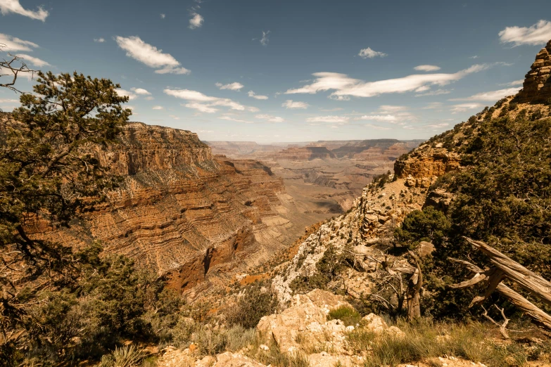 a scenic view of a very wide canyon