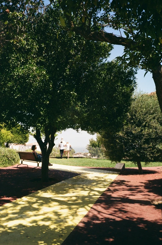 people sitting on a park bench surrounded by trees