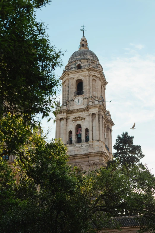 a tall tower with clocks on top surrounded by trees