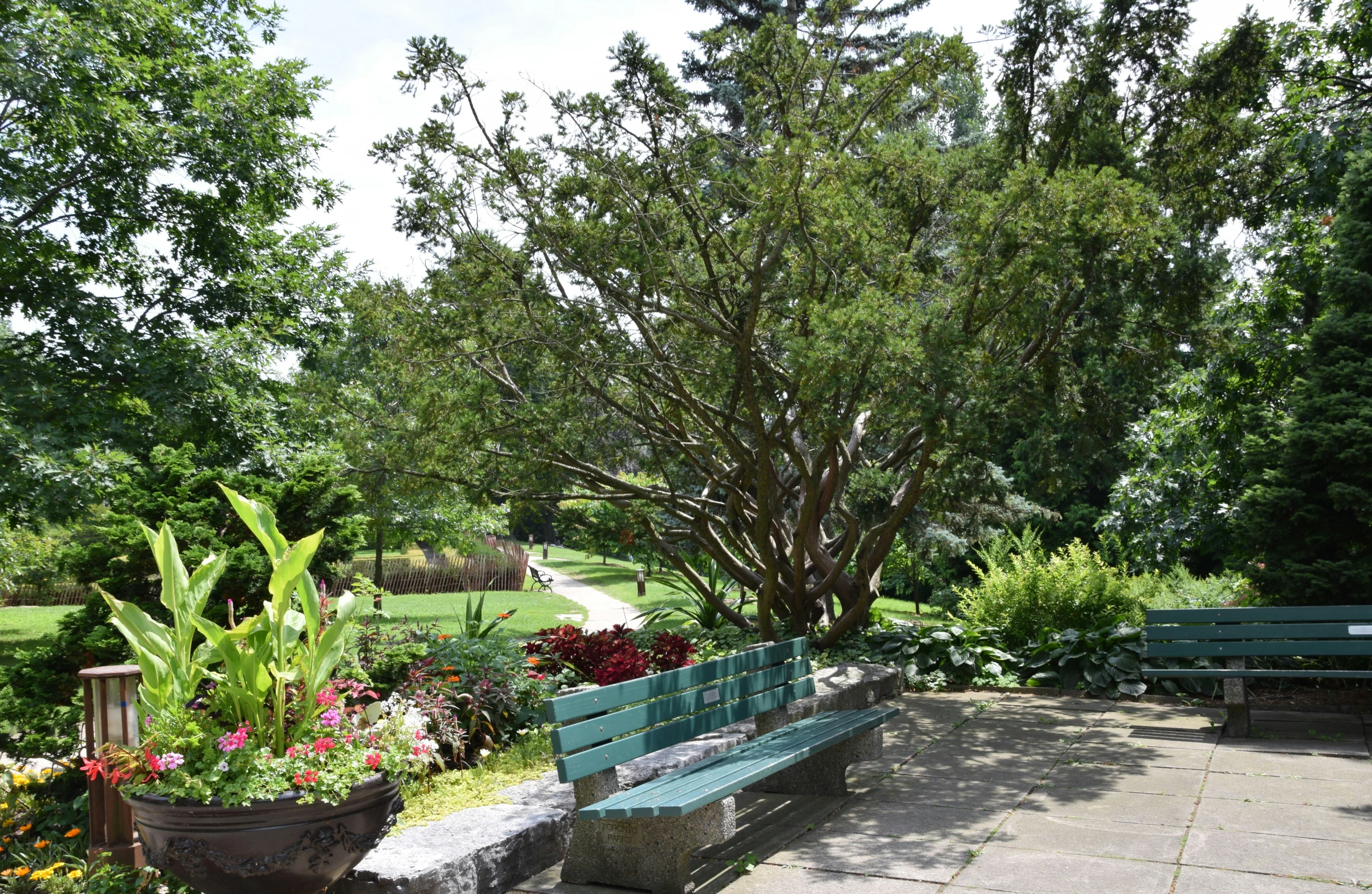 an empty park bench under the trees and potted plants