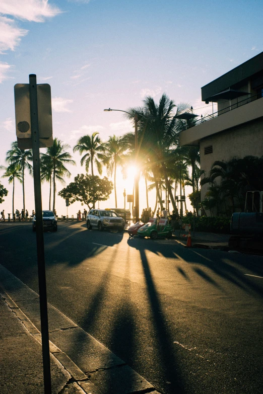 a road with palm trees on both sides in front of a building