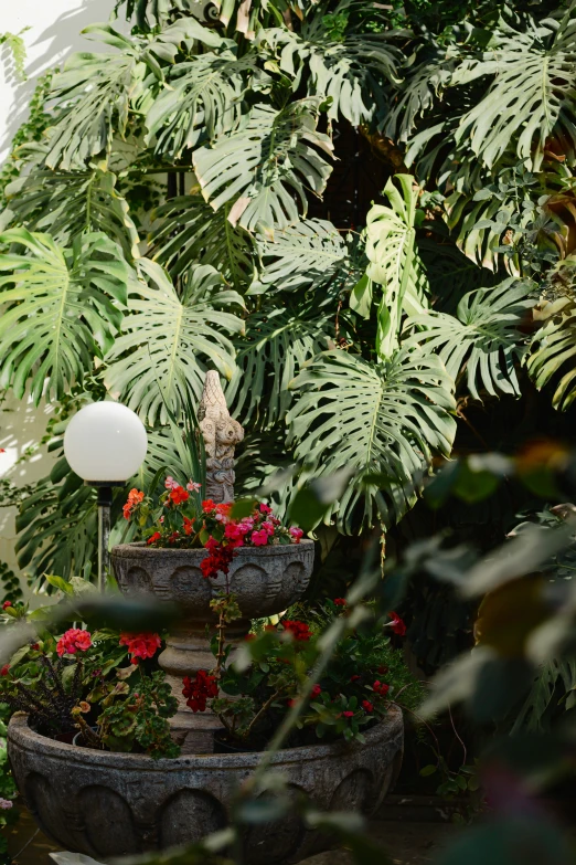 there is a water fountain and some plants in it