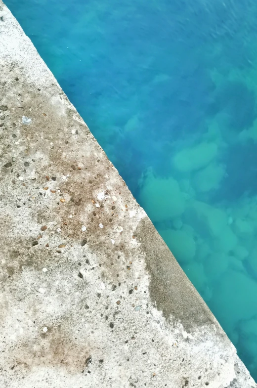 an animal looks down over some concrete ledge at the water