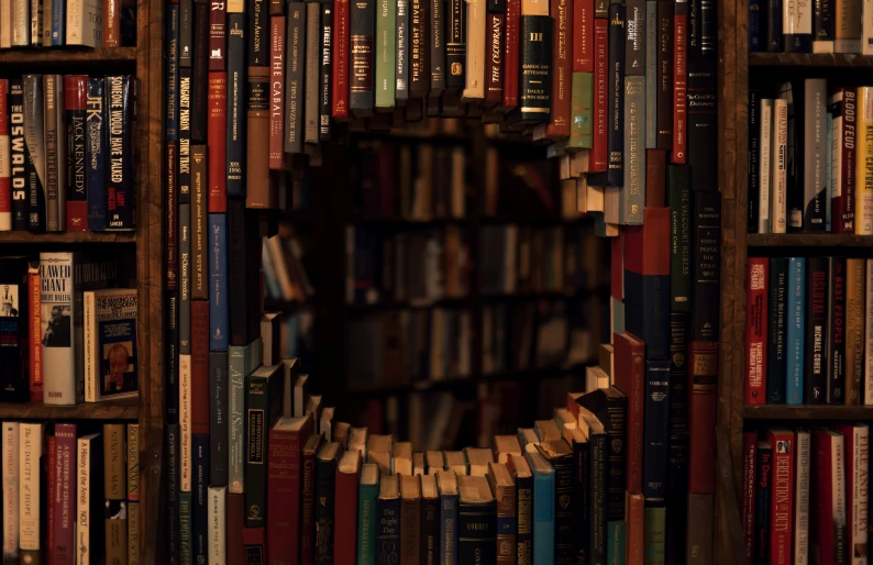the bookshelves are full of different books